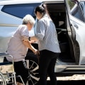 What is the most requested support service for the elderly?